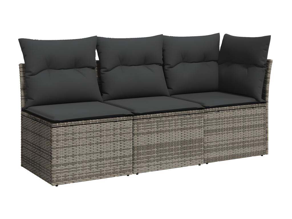 Gray Woven Resin Wicker Sofa