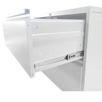 2 Drawer Metal Vertical Filing Cabinet with Lock,A4 Legal/Letter Size