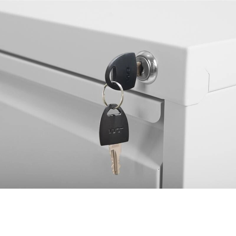 2 Drawer Metal Vertical Filing Cabinet with Lock,A4 Legal/Letter Size