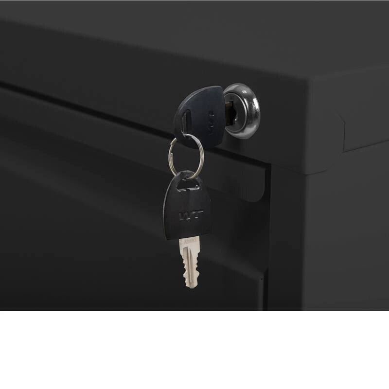 2 Drawer Metal Vertical Filing Cabinet with Lock,A4 Legal/Letter Size