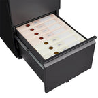 2 Drawer File Cabinet w/Lock,Metal Under Desk Rolling Filing Cabinet